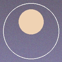 用户林美琪头像